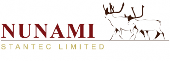 Nunami Logo